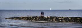 Waddenzee